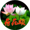 柏庄的头像