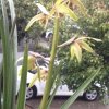 许贵兰   ^O^最近忙^O^的头像