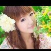 紫气凝澜的头像