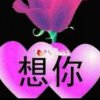 小菊的头像