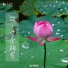 心玲的头像