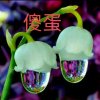 世纪【平平淡淡】的头像
