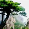 松岩的头像