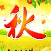美丽的秋天的头像