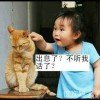 ⁺风雨的头像