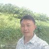 杨刚的头像