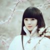 小手冰凉的头像
