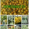 81号琴阳光的头像