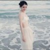 月光下的凤尾竹的头像