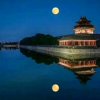 君只为你封心的头像