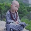我的过去你别介意的头像