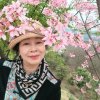 蝉鸣秋叶的头像