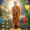 老杨亭币的头像