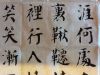 乐雁的头像