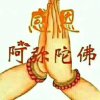玉兔的头像