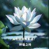 最妙优昙花的头像