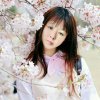 踏雪无痕的头像