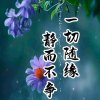 依然《无》的头像