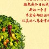 who的头像
