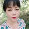 金凤凰花好月圆的头像