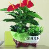 生人阳光灿烂的头像
