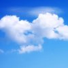 天空的一片云的头像