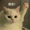 蟹老板Gy【步知名】@山河云归的头像