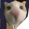๑芜七er_接上传/袋送的头像