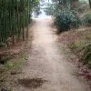ABCD的头像