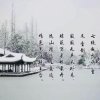 雪影（拒币）的头像