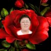 老伍的头像