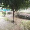 喜哥的头像