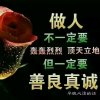 真心实意的头像