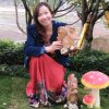 飘逸的头像