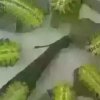 人间百味的头像