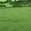 农夫的头像
