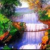 思念的头像
