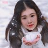 雪中花的头像