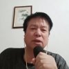 鸽之音的头像