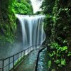 高山流水的头像