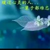 乐缘四海为家的头像