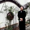 紫藤的头像