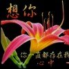 想你的头像