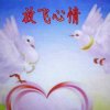 放飞心情的头像
