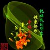 郁金香的头像
