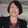 税成桂的头像