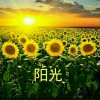 阳光的头像
