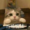 陌路的头像