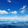 蔚蓝的大海的头像