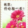 顺心顺意的头像